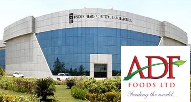 JB Chemicals- ADF Foods jumps on results, investments - Sakshi