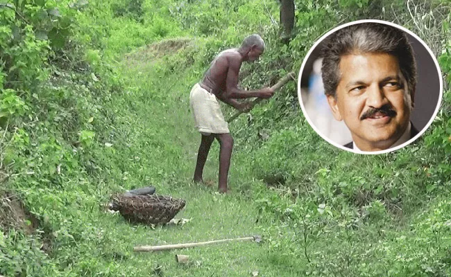 Anand Mahindra Decides To Gift Tractor Bihar Farmer Laungi Bhuiyan - Sakshi