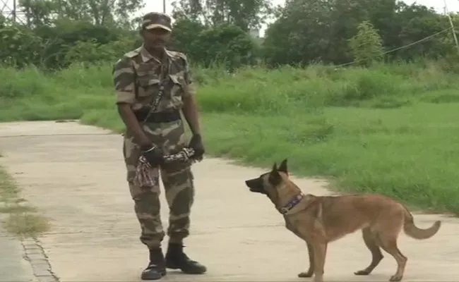 Delhi Metro Appoints New Guardian Polo The Belgian Malinois - Sakshi