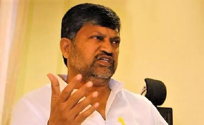 Telangana TDP Leaders Wrote Chandrababu Seeks Leadership Change - Sakshi