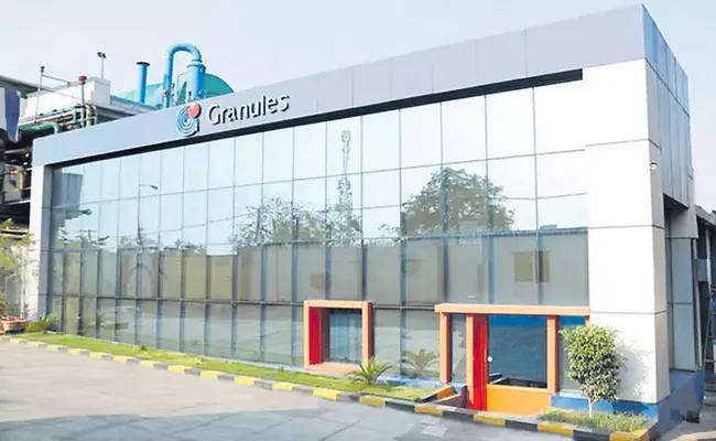 KKR- Bain Capital and Blackstone in race for majority stake in Granules India - Sakshi