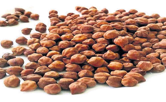 Bengal gram seed distribution begins - Sakshi