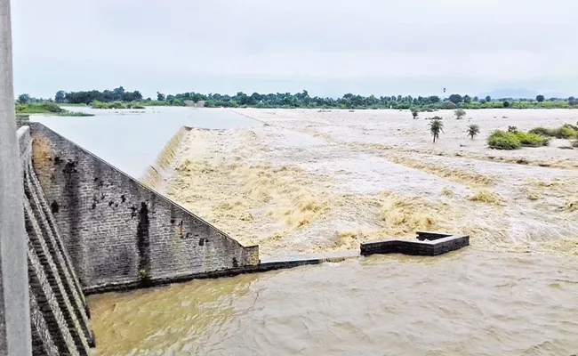 Damage to crops in many areas with heavy rainfall in AP - Sakshi