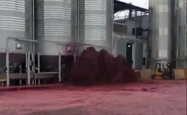 Winery Tank Containing Red Wine Explodes In Spain - Sakshi