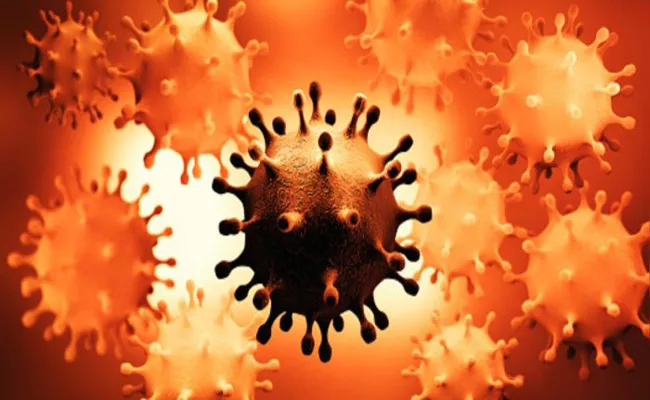 CCMB scientists launch study to check whether coronavirus can travel in air - Sakshi