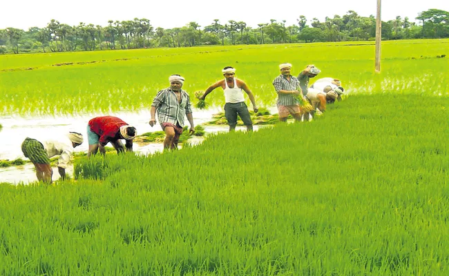 Kharif already has crops on above 30 lakh hectares - Sakshi