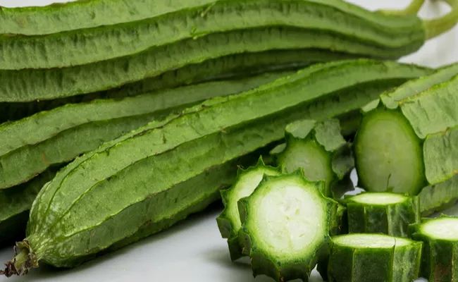 Health Benefits Of Ridge Gourd - Sakshi