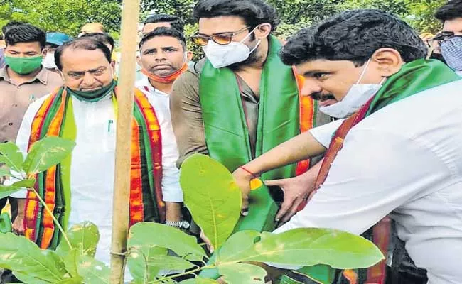 Actor Prabhas Adopted Forest Area Near Hyderabad - Sakshi