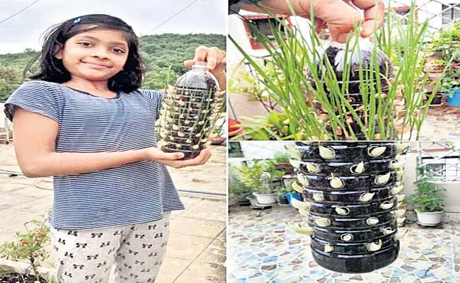 Garlic Farming In Plastic Bottles - Sakshi