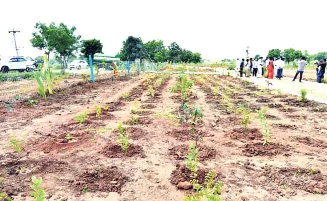 Parks Facing Land Problem In Nizamabad District - Sakshi