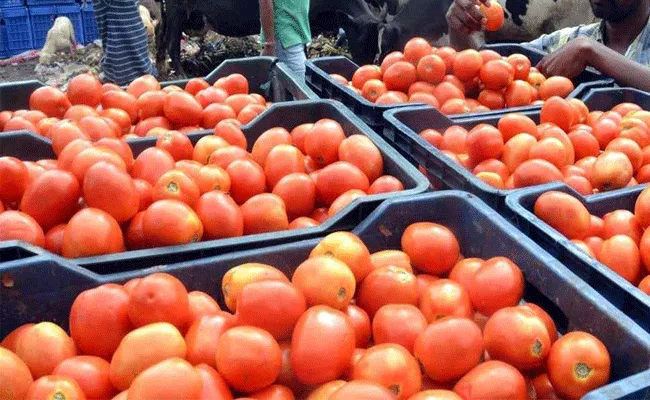 Tomato Prices Skyrocket To RS 60 Per Kg In Telangana - Sakshi