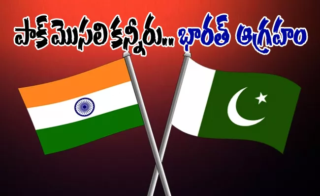 Do Not Play Victim Card India Hits Out at Pakistan On Terrorism - Sakshi