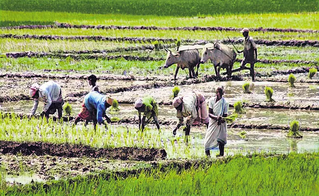 Establishment of groups as per NABARD regulations - Sakshi