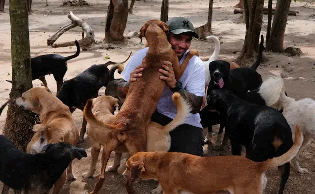 A Man from Mexico Gives Shelter To 300 Dogs - Sakshi