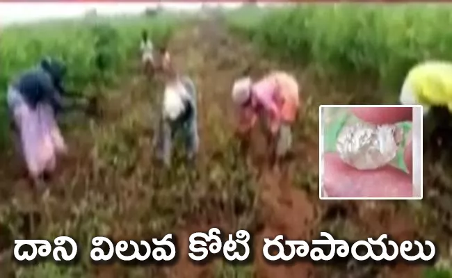 Precious Diamond Found On Kurnool District - Sakshi