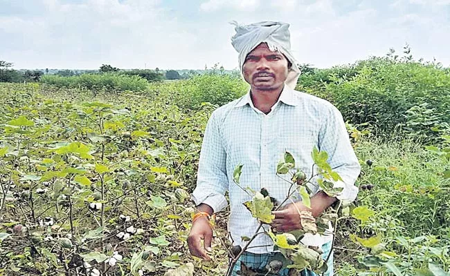 Private Teachers Who Became Farm Laborers Due To Corona - Sakshi