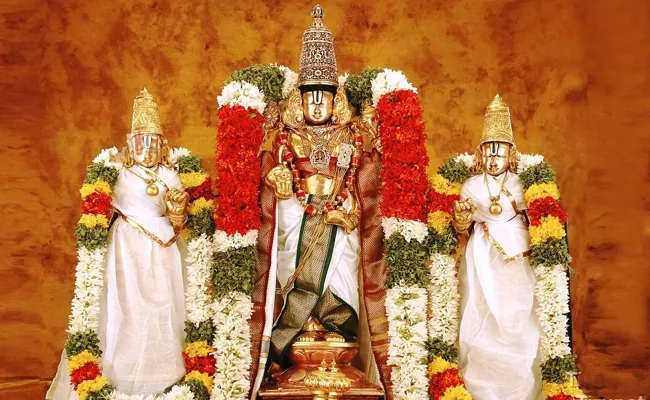 Navaratri Bhahmostsalu Tirumala Swami Blesses Devotees  - Sakshi