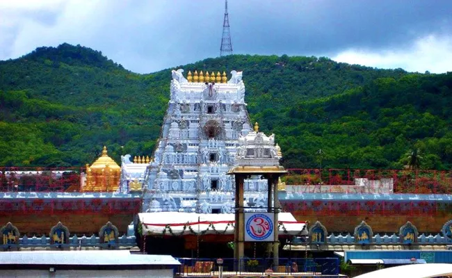 Special Puja And Utsav In Next November At Tirumala - Sakshi