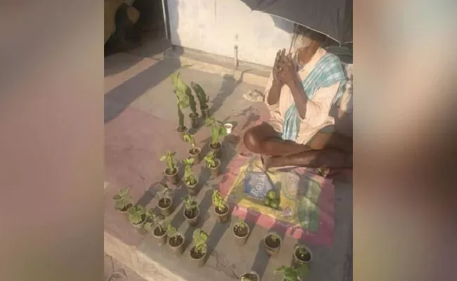 Help Pours In Elderly Man Sells Plants On The Roadside In Bengaluru - Sakshi