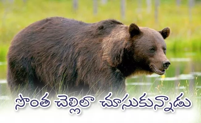 Luba And Terdi Yomcha Bear And Human Brother And Sister Relation - Sakshi