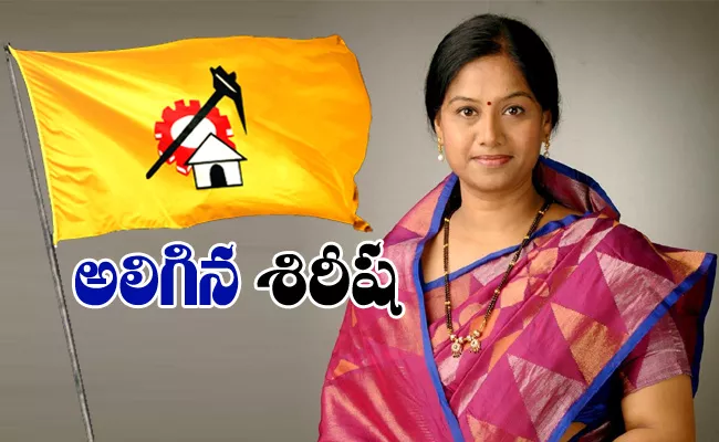 Gouthu Sirisha Is Dissatisfied With The Change Of TDP District President - Sakshi