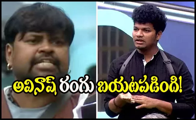 Bigg Boss 4 Telugu: Noel Fires On Amma Rajasekhar And Avinash - Sakshi