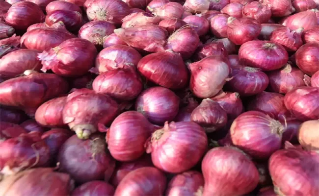 AP Govt buys onions and transports them to Rythu Bazars - Sakshi