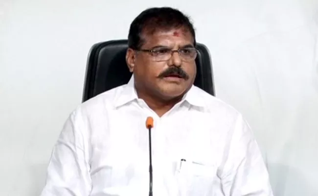 Minister Botsa Satyanarayana Comments On Mansas Trust - Sakshi