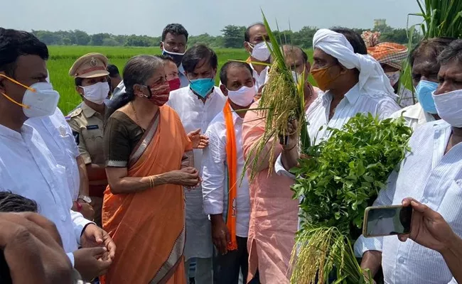 Nirmala Sitharaman Discussion With Agricultural Experts On Agricultural Bills - Sakshi