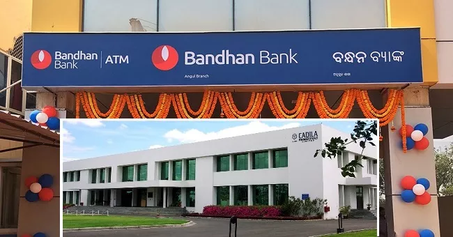 Bandhan Bank- Cadila healthcare jumps - Sakshi