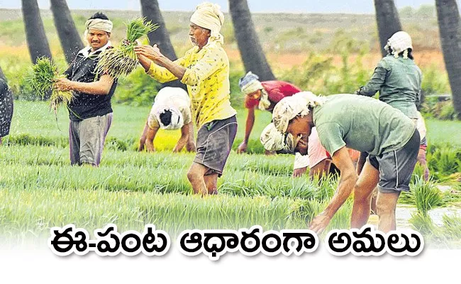 AP Government Has Issued Orders Implementing Free Insurance For Kharif Crops - Sakshi