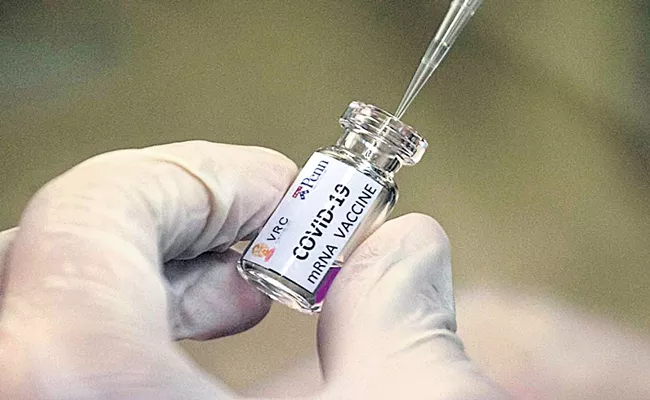 Preparations for Oxford vaccine Covishields final test - Sakshi