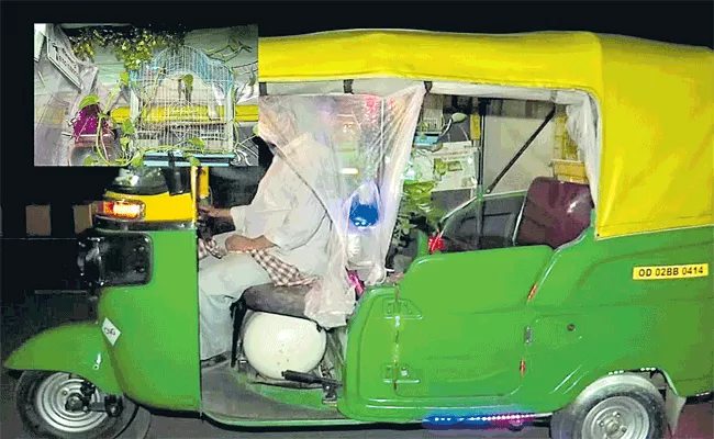 Driver Arranges Saplings In Auto - Sakshi