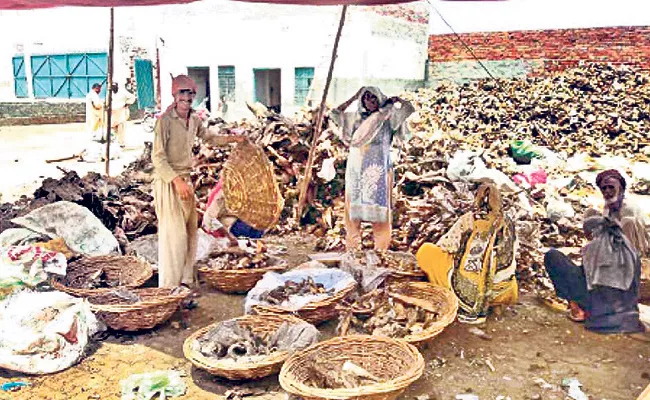 Making Adulterated Cooking Oil With Animal Fat - Sakshi