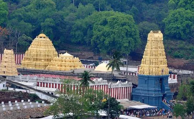 Odisha People Served To Simhachalam Varaha Lakshmi Narasimha Swamy - Sakshi