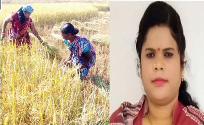 Minister Padmini Dian Doing Agriculture Harvesting In Odisha - Sakshi