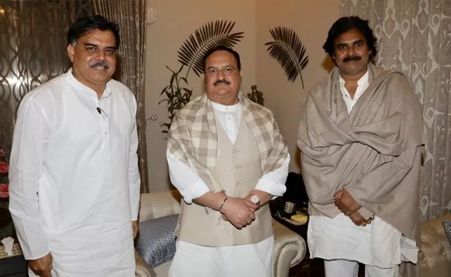 Pawan kalyan Meets BJP President JP Nadda In Delhi - Sakshi