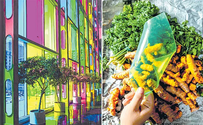 Carvey Maigue Develops Vegetable Waste Into Renewable Energy - Sakshi