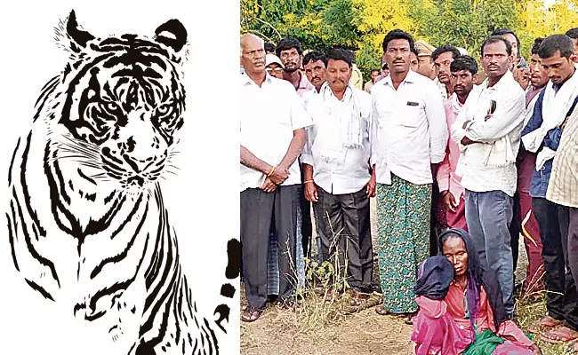 With In A Days Another Tribal Woman Killed In Tiger Attack - Sakshi