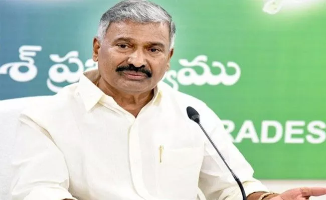 Minister Peddireddy Ramachandra Reddy Praises CM Jagan - Sakshi