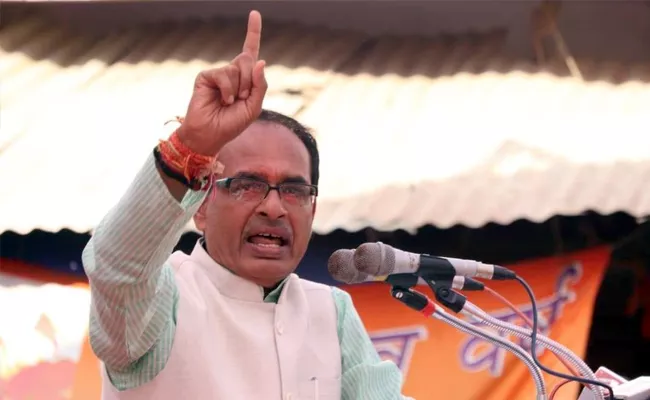 Voted For The BJP With Enthusiasm: Chouhan - Sakshi