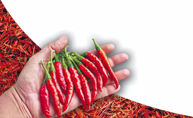 Increased chilli prices - Sakshi