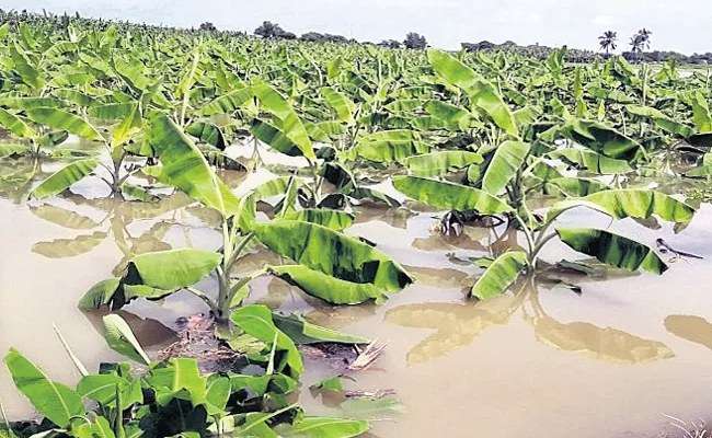 Huge Loses With Heavy Rains And Floods - Sakshi