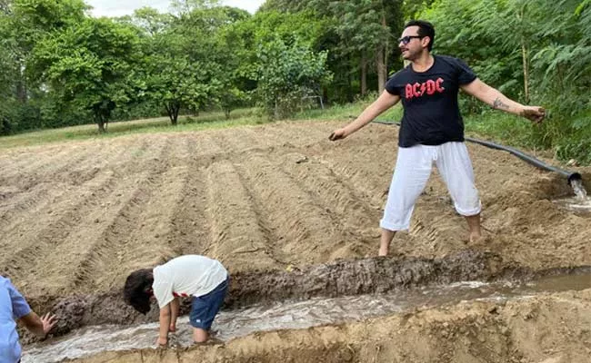 saif Ali Khan And Son Taimur Ali Khan Farming Pataudi Photos Goes Viral - Sakshi