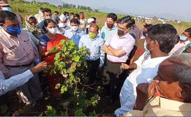 Central Committee Tour In Flood Damage Districts Krishna And Anantapur - Sakshi