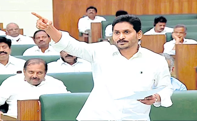 AP ASSEMBLY SESSIONS 2020: CM Jagan Speech On Sgriculture - Sakshi