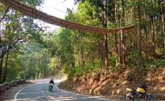 First Eco Bridge For Small Animals Built In Uttarakhand - Sakshi