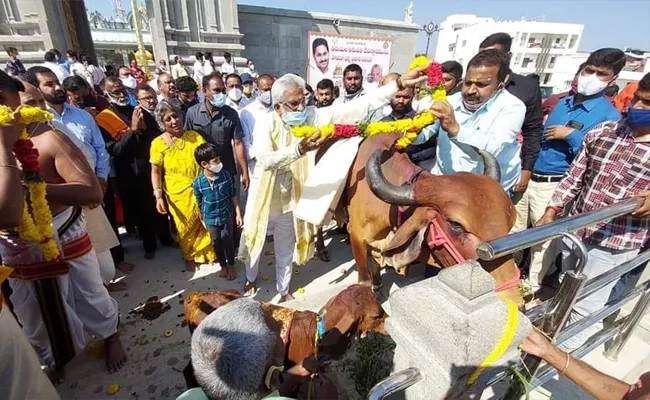 YV Subba Reddy Said Country Will Be Prosperous With Care Of Cows - Sakshi