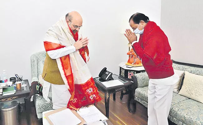 CM KCR Meets Union Home Minister Amit Shah - Sakshi