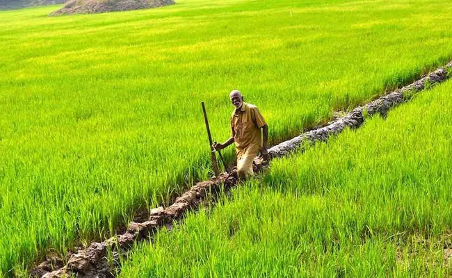 Farmers Protest: Fate of Agri Sector in Kerala - Sakshi